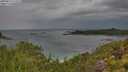 ./images/calvert/foggy-cove/20250815/foggy-cove20250815_111511M.jpg