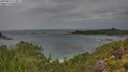 ./images/calvert/foggy-cove/20250815/foggy-cove20250815_112011M.jpg