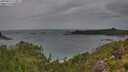 ./images/calvert/foggy-cove/20250815/foggy-cove20250815_113011M.jpg