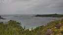 ./images/calvert/foggy-cove/20250815/foggy-cove20250815_113507M.jpg