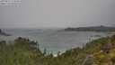 ./images/calvert/foggy-cove/20250815/foggy-cove20250815_124010M.jpg
