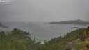 ./images/calvert/foggy-cove/20250815/foggy-cove20250815_131510M.jpg