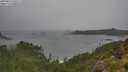 ./images/calvert/foggy-cove/20250815/foggy-cove20250815_132510M.jpg