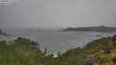 ./images/calvert/foggy-cove/20250815/foggy-cove20250815_133509M.jpg