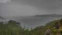 ./images/calvert/foggy-cove/20250815/foggy-cove20250815_134510M.jpg