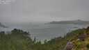 ./images/calvert/foggy-cove/20250815/foggy-cove20250815_135509M.jpg