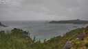 ./images/calvert/foggy-cove/20250815/foggy-cove20250815_142009M.jpg