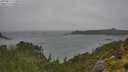 ./images/calvert/foggy-cove/20250815/foggy-cove20250815_143010M.jpg