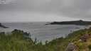 ./images/calvert/foggy-cove/20250815/foggy-cove20250815_143510M.jpg