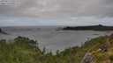 ./images/calvert/foggy-cove/20250815/foggy-cove20250815_150510M.jpg