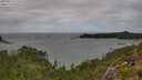 ./images/calvert/foggy-cove/20250815/foggy-cove20250815_152010M.jpg