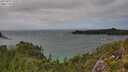 ./images/calvert/foggy-cove/20250815/foggy-cove20250815_152509M.jpg