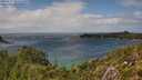 ./images/calvert/foggy-cove/20250815/foggy-cove20250815_153510M.jpg