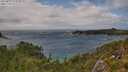 ./images/calvert/foggy-cove/20250815/foggy-cove20250815_154510M.jpg