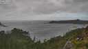 ./images/calvert/foggy-cove/20250815/foggy-cove20250815_160011M.jpg