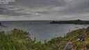 ./images/calvert/foggy-cove/20250815/foggy-cove20250815_175010M.jpg