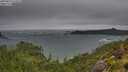 ./images/calvert/foggy-cove/20250816/foggy-cove20250816_072010M.jpg