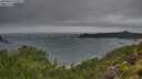 ./images/calvert/foggy-cove/20250816/foggy-cove20250816_072510M.jpg