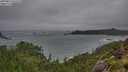./images/calvert/foggy-cove/20250816/foggy-cove20250816_075510M.jpg