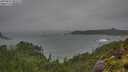 ./images/calvert/foggy-cove/20250816/foggy-cove20250816_081009M.jpg