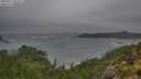 ./images/calvert/foggy-cove/20250816/foggy-cove20250816_082011M.jpg