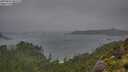 ./images/calvert/foggy-cove/20250816/foggy-cove20250816_082510M.jpg