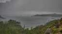 ./images/calvert/foggy-cove/20250816/foggy-cove20250816_091010M.jpg