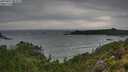 ./images/calvert/foggy-cove/20250817/foggy-cove20250817_085009M.jpg