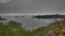 ./images/calvert/foggy-cove/20250821/foggy-cove20250821_091510M.jpg
