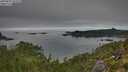 ./images/calvert/foggy-cove/20250821/foggy-cove20250821_092010M.jpg