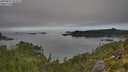 ./images/calvert/foggy-cove/20250821/foggy-cove20250821_092513M.jpg