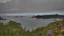 ./images/calvert/foggy-cove/20250821/foggy-cove20250821_093012M.jpg
