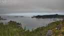 ./images/calvert/foggy-cove/20250821/foggy-cove20250821_095510M.jpg