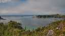 ./images/calvert/foggy-cove/20250821/foggy-cove20250821_150509M.jpg