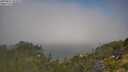 ./images/calvert/foggy-cove/20250822/foggy-cove20250822_104510M.jpg