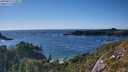 ./images/calvert/foggy-cove/20250822/foggy-cove20250822_174511M.jpg