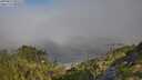 ./images/calvert/foggy-cove/20250823/foggy-cove20250823_092513M.jpg