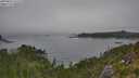 ./images/calvert/foggy-cove/20250825/foggy-cove20250825_131510M.jpg