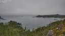 ./images/calvert/foggy-cove/20250825/foggy-cove20250825_133507M.jpg