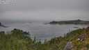 ./images/calvert/foggy-cove/20250825/foggy-cove20250825_135510M.jpg