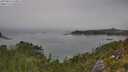 ./images/calvert/foggy-cove/20250825/foggy-cove20250825_140011M.jpg