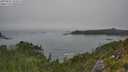 ./images/calvert/foggy-cove/20250825/foggy-cove20250825_143506M.jpg