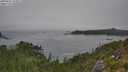 ./images/calvert/foggy-cove/20250825/foggy-cove20250825_144011M.jpg