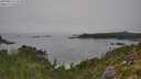 ./images/calvert/foggy-cove/20250826/foggy-cove20250826_112509M.jpg