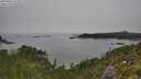 ./images/calvert/foggy-cove/20250826/foggy-cove20250826_122011M.jpg