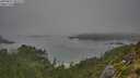 ./images/calvert/foggy-cove/20250827/foggy-cove20250827_095509M.jpg