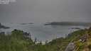 ./images/calvert/foggy-cove/20250827/foggy-cove20250827_101511M.jpg