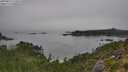 ./images/calvert/foggy-cove/20250827/foggy-cove20250827_112010M.jpg