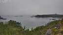 ./images/calvert/foggy-cove/20250827/foggy-cove20250827_114509M.jpg
