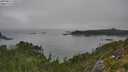./images/calvert/foggy-cove/20250827/foggy-cove20250827_130510M.jpg